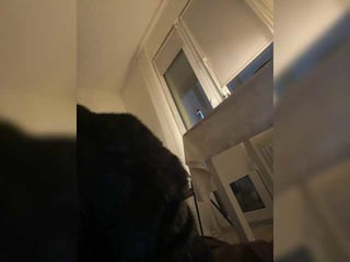 lubim88 brunette white cam babe wants her pussy stretched